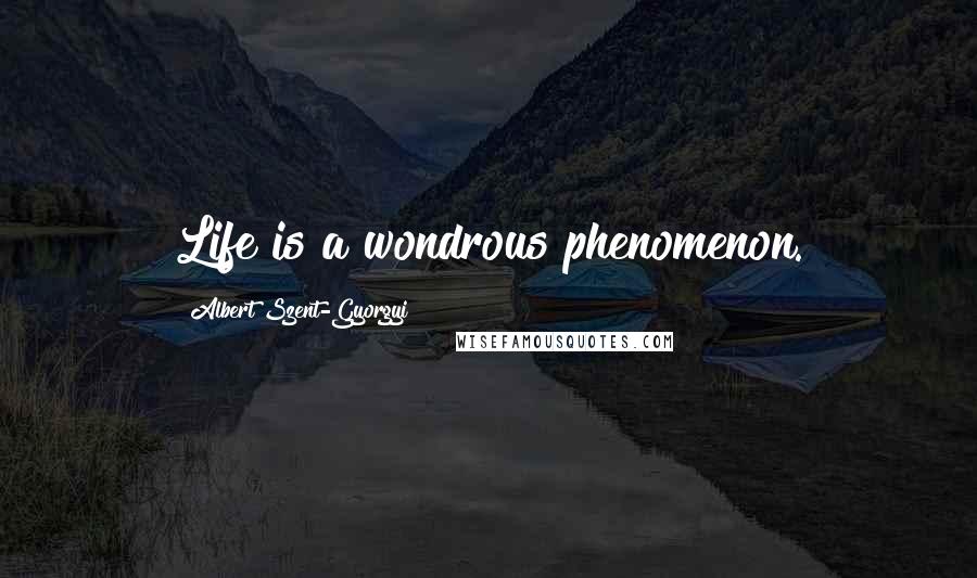 Albert Szent-Gyorgyi Quotes: Life is a wondrous phenomenon.