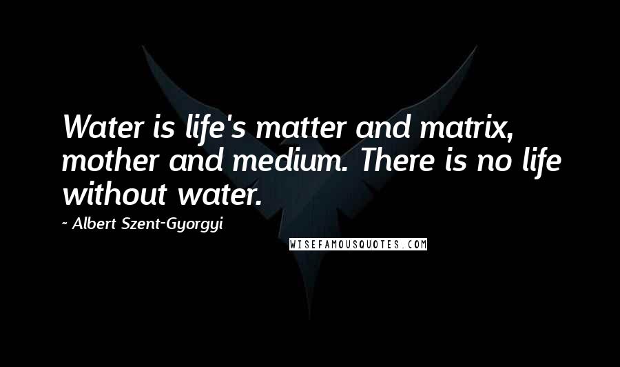 Albert Szent-Gyorgyi Quotes: Water is life's matter and matrix, mother and medium. There is no life without water.