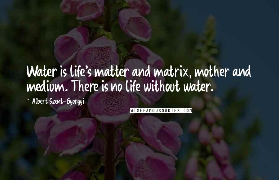 Albert Szent-Gyorgyi Quotes: Water is life's matter and matrix, mother and medium. There is no life without water.