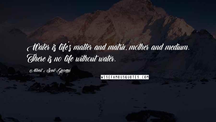 Albert Szent-Gyorgyi Quotes: Water is life's matter and matrix, mother and medium. There is no life without water.