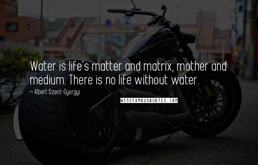 Albert Szent-Gyorgyi Quotes: Water is life's matter and matrix, mother and medium. There is no life without water.