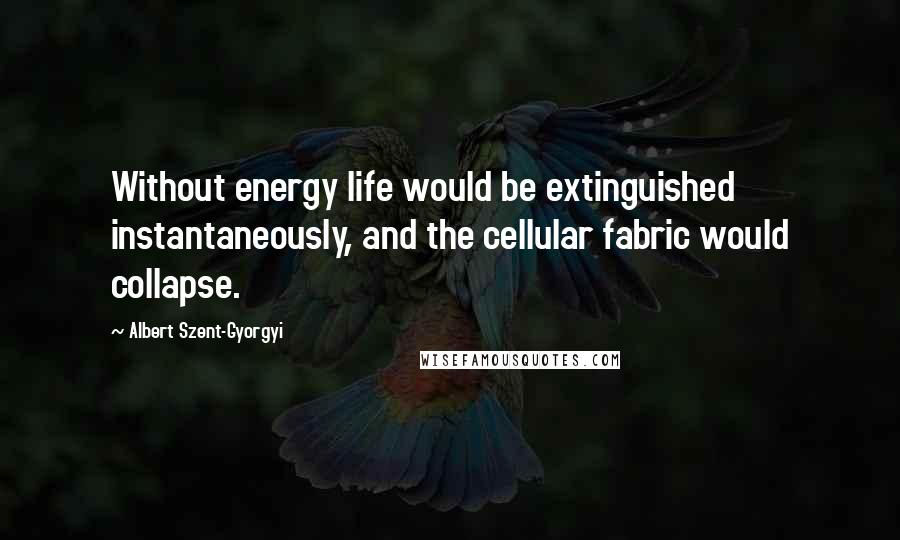 Albert Szent-Gyorgyi Quotes: Without energy life would be extinguished instantaneously, and the cellular fabric would collapse.