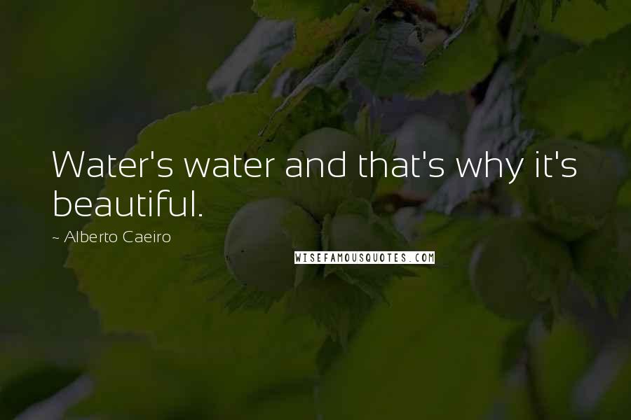 Alberto Caeiro Quotes: Water's water and that's why it's beautiful.