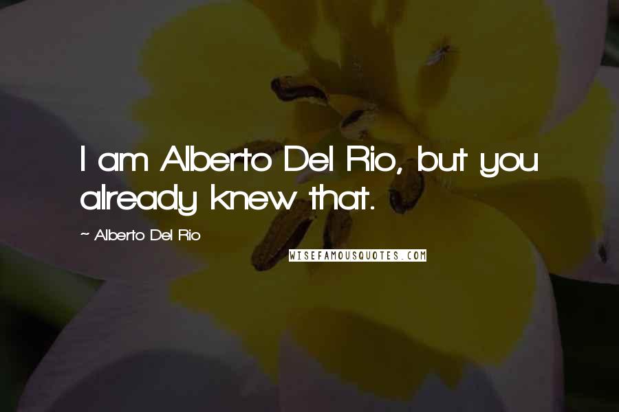 Alberto Del Rio Quotes: I am Alberto Del Rio, but you already knew that.