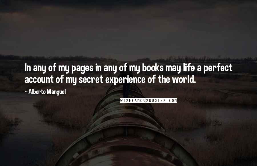 Alberto Manguel Quotes: In any of my pages in any of my books may life a perfect account of my secret experience of the world.