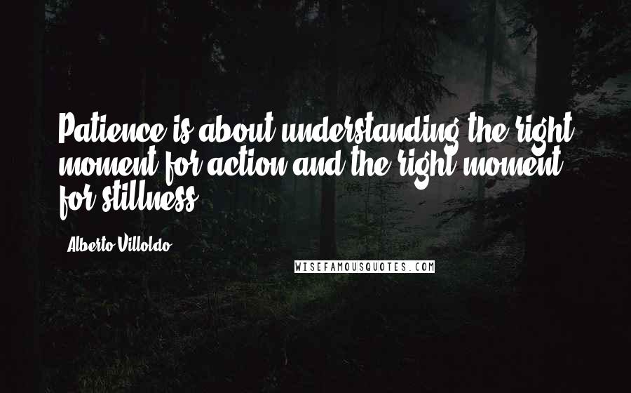 Alberto Villoldo Quotes: Patience is about understanding the right moment for action and the right moment for stillness.