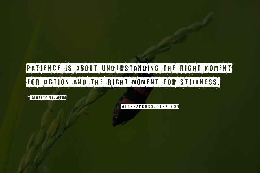 Alberto Villoldo Quotes: Patience is about understanding the right moment for action and the right moment for stillness.
