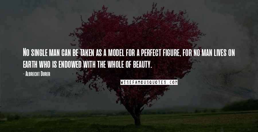 Albrecht Durer Quotes: No single man can be taken as a model for a perfect figure, for no man lives on earth who is endowed with the whole of beauty.