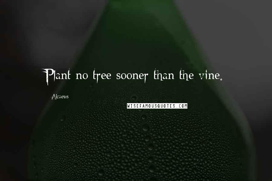 Alcaeus Quotes: Plant no tree sooner than the vine.