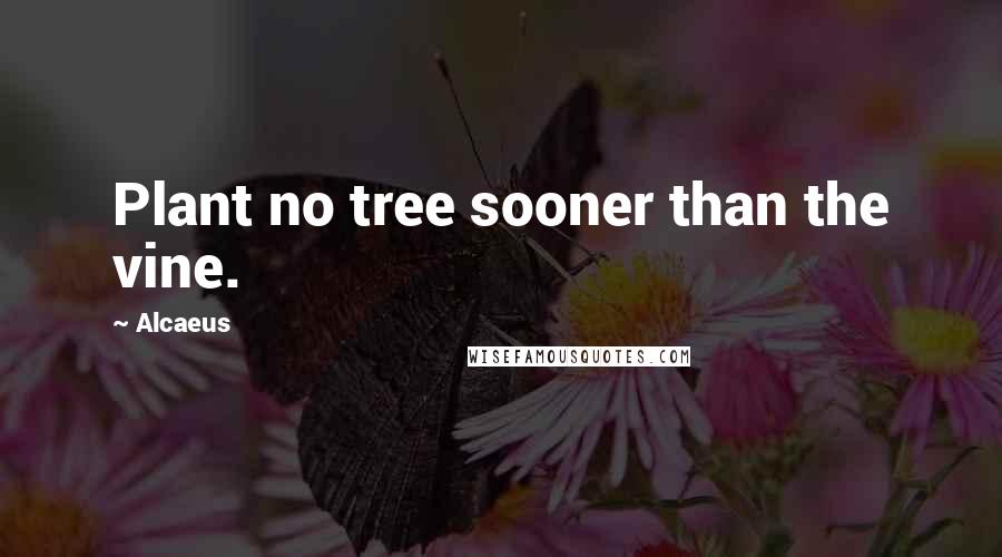 Alcaeus Quotes: Plant no tree sooner than the vine.