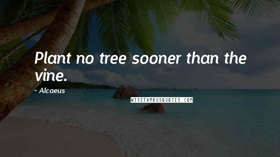 Alcaeus Quotes: Plant no tree sooner than the vine.