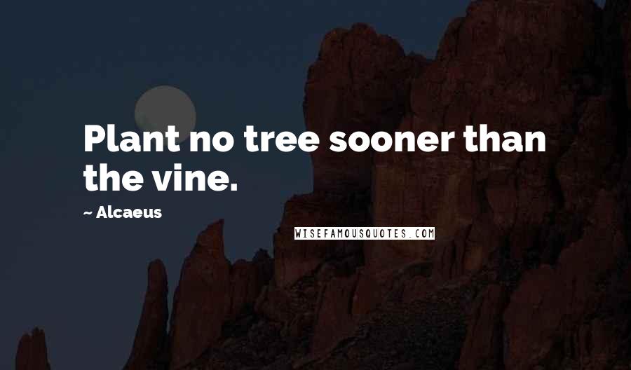 Alcaeus Quotes: Plant no tree sooner than the vine.