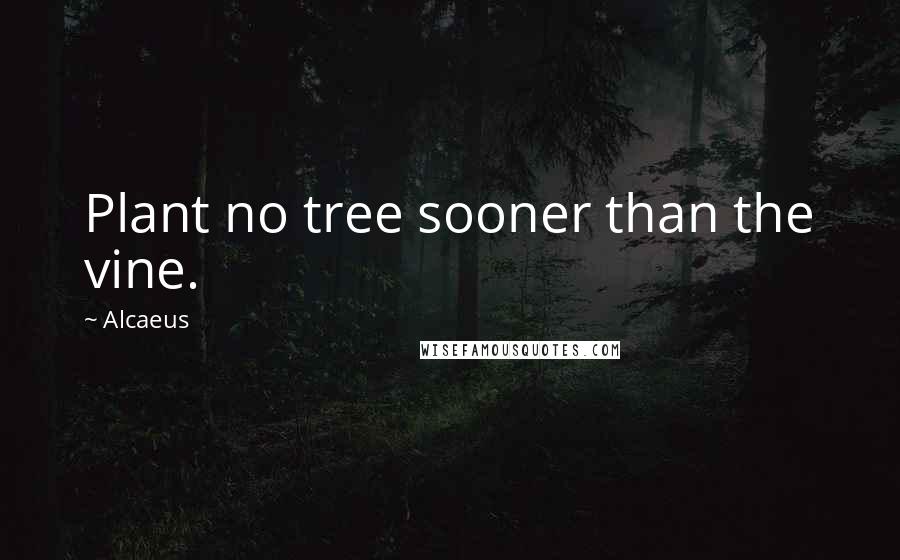 Alcaeus Quotes: Plant no tree sooner than the vine.