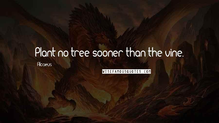 Alcaeus Quotes: Plant no tree sooner than the vine.