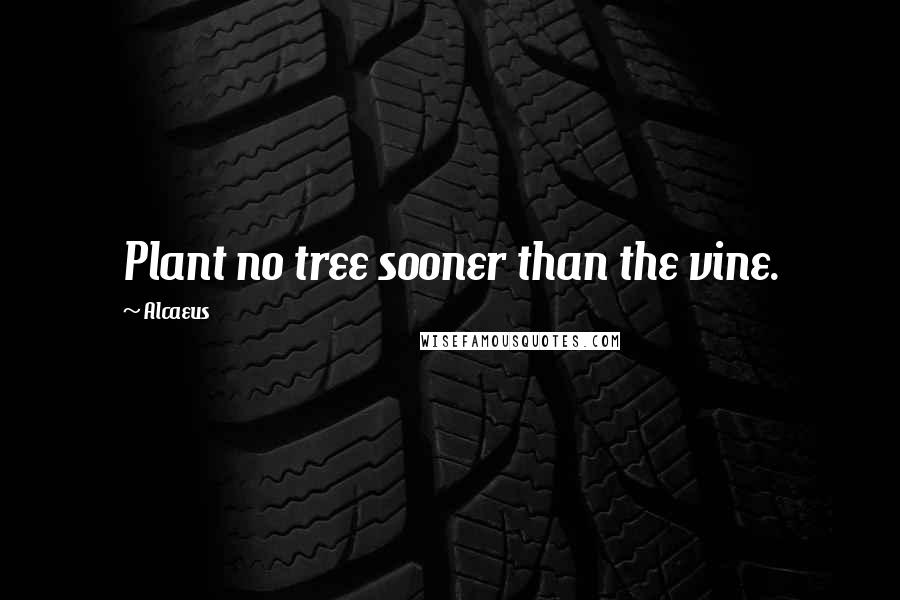 Alcaeus Quotes: Plant no tree sooner than the vine.