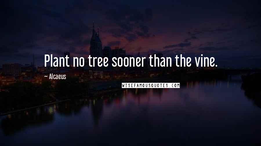 Alcaeus Quotes: Plant no tree sooner than the vine.