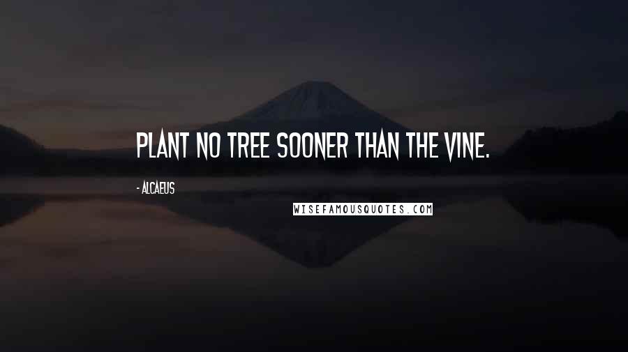 Alcaeus Quotes: Plant no tree sooner than the vine.