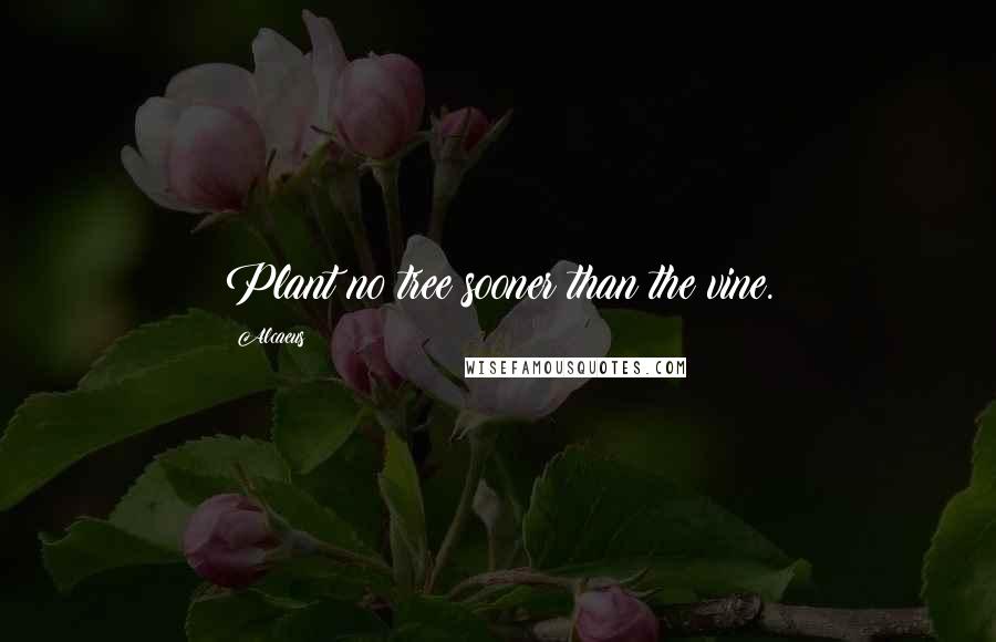 Alcaeus Quotes: Plant no tree sooner than the vine.