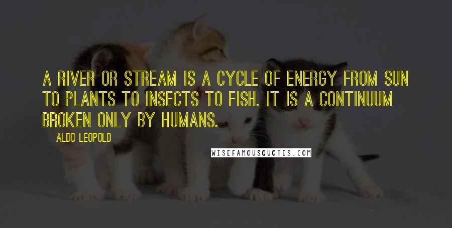 Aldo Leopold Quotes: A river or stream is a cycle of energy from sun to plants to insects to fish. It is a continuum broken only by humans.