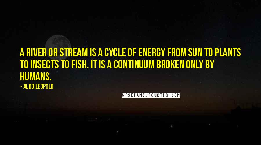 Aldo Leopold Quotes: A river or stream is a cycle of energy from sun to plants to insects to fish. It is a continuum broken only by humans.