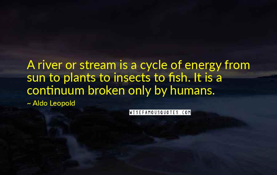 Aldo Leopold Quotes: A river or stream is a cycle of energy from sun to plants to insects to fish. It is a continuum broken only by humans.