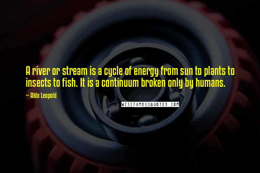 Aldo Leopold Quotes: A river or stream is a cycle of energy from sun to plants to insects to fish. It is a continuum broken only by humans.