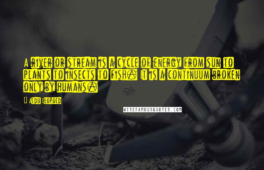 Aldo Leopold Quotes: A river or stream is a cycle of energy from sun to plants to insects to fish. It is a continuum broken only by humans.