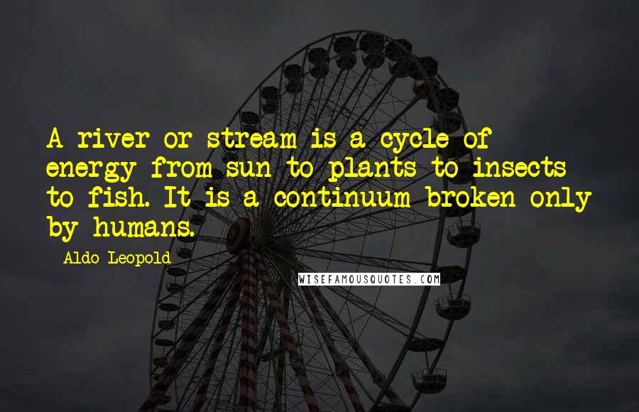 Aldo Leopold Quotes: A river or stream is a cycle of energy from sun to plants to insects to fish. It is a continuum broken only by humans.