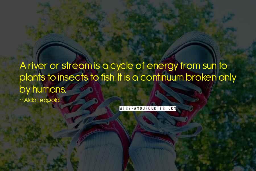 Aldo Leopold Quotes: A river or stream is a cycle of energy from sun to plants to insects to fish. It is a continuum broken only by humans.