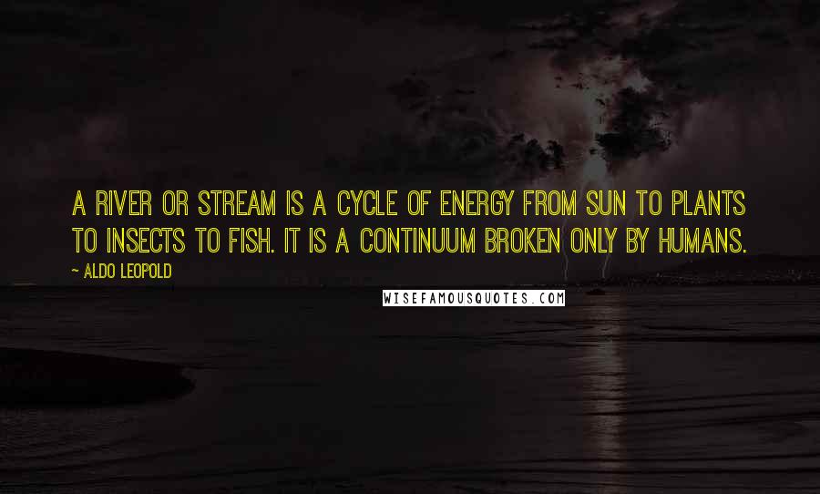 Aldo Leopold Quotes: A river or stream is a cycle of energy from sun to plants to insects to fish. It is a continuum broken only by humans.