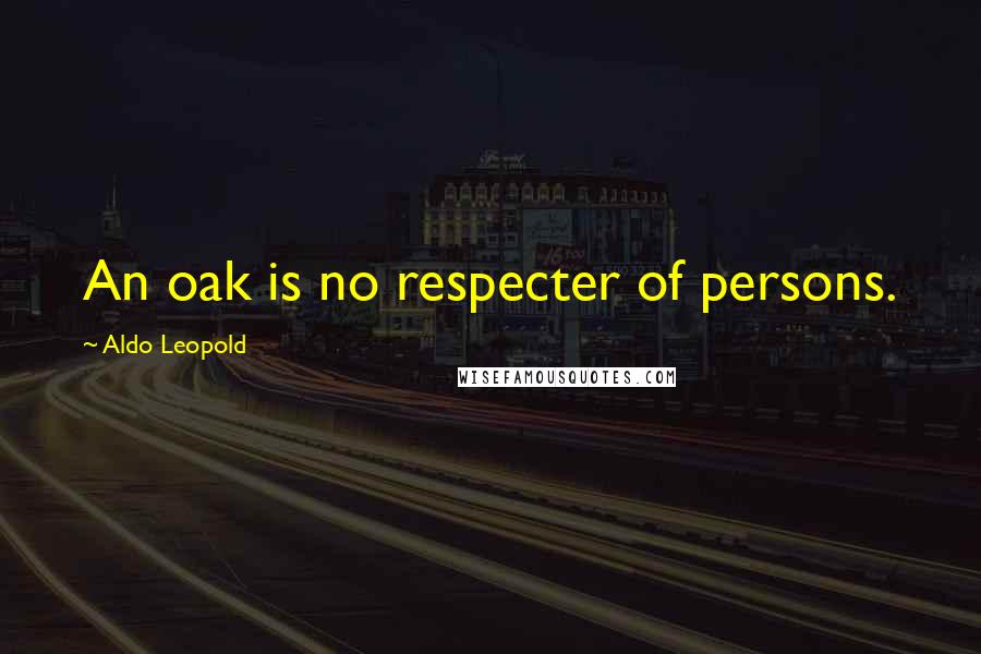 Aldo Leopold Quotes: An oak is no respecter of persons.