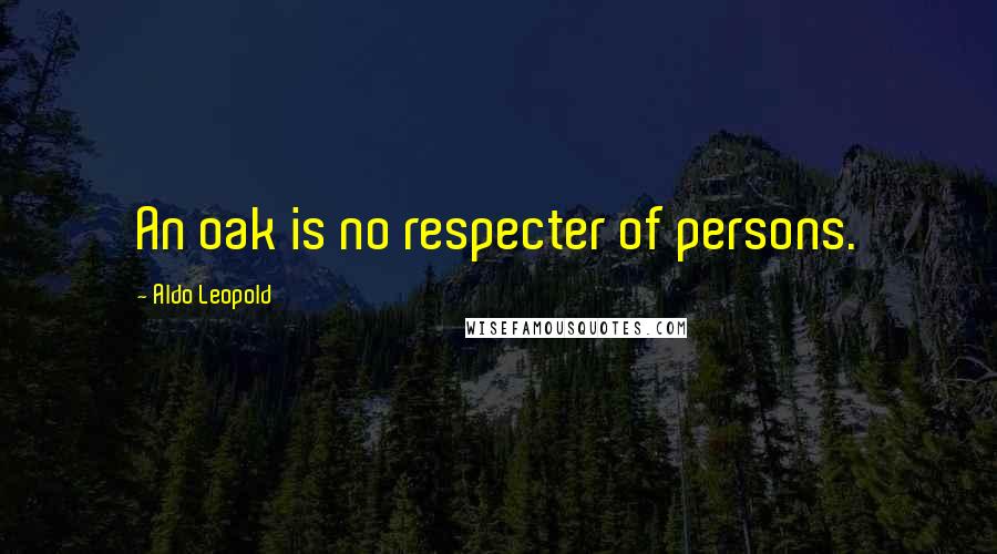 Aldo Leopold Quotes: An oak is no respecter of persons.