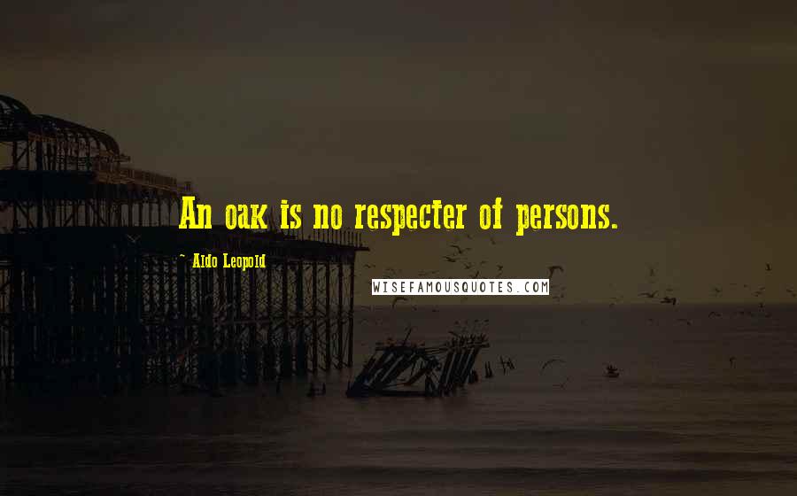 Aldo Leopold Quotes: An oak is no respecter of persons.