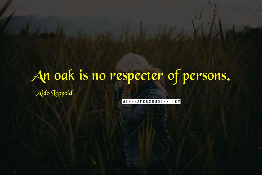 Aldo Leopold Quotes: An oak is no respecter of persons.