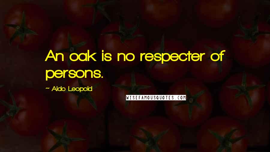 Aldo Leopold Quotes: An oak is no respecter of persons.