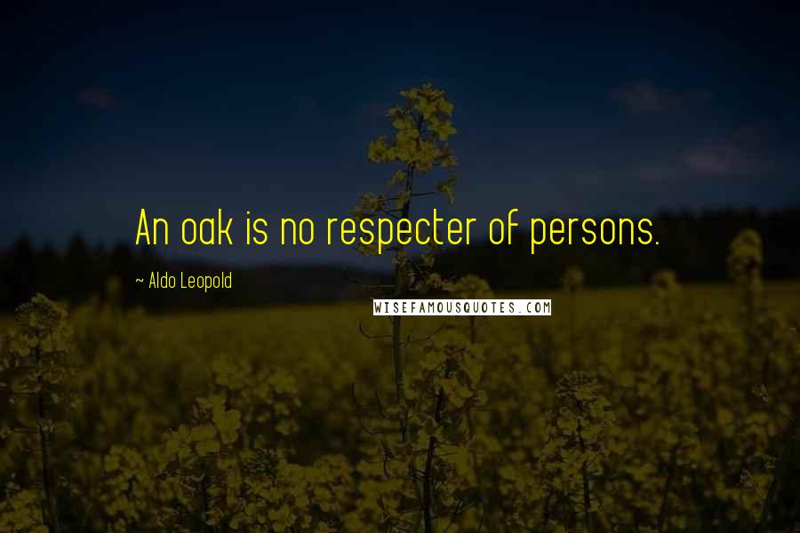 Aldo Leopold Quotes: An oak is no respecter of persons.