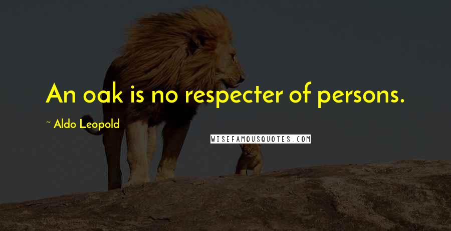 Aldo Leopold Quotes: An oak is no respecter of persons.