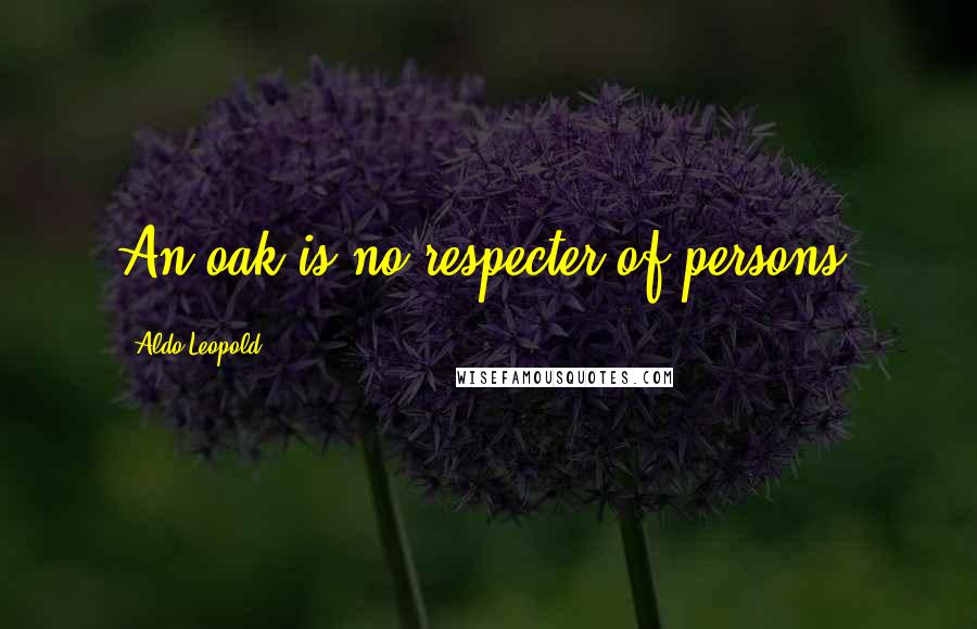 Aldo Leopold Quotes: An oak is no respecter of persons.