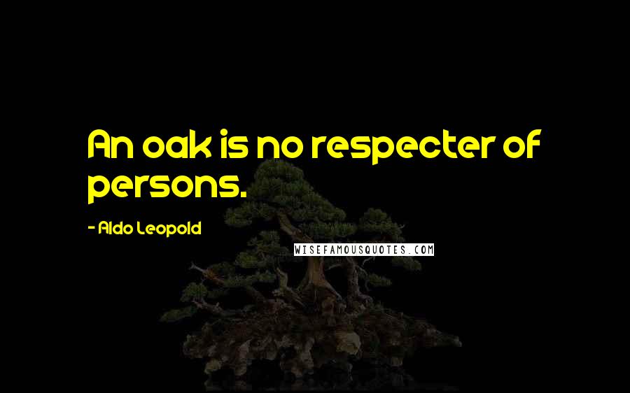 Aldo Leopold Quotes: An oak is no respecter of persons.