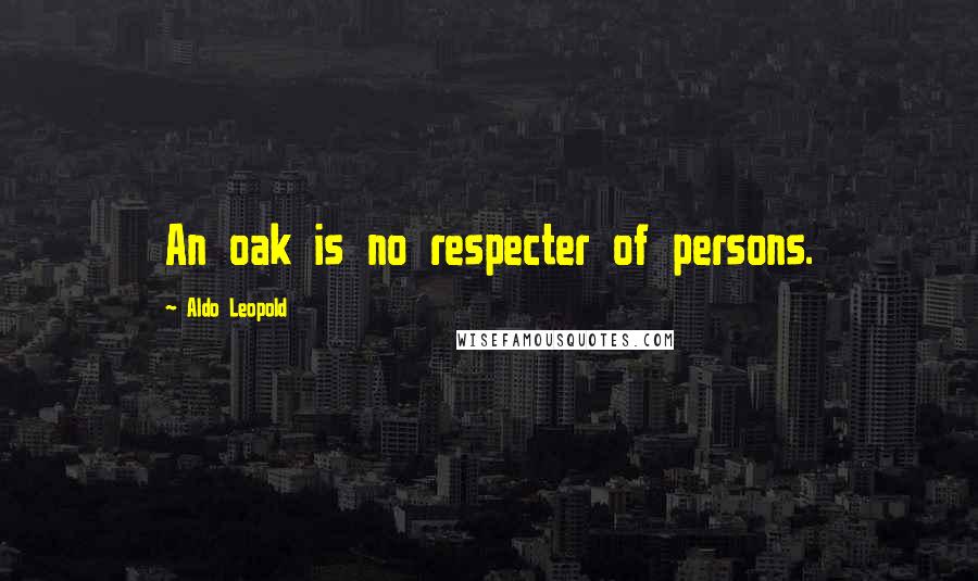 Aldo Leopold Quotes: An oak is no respecter of persons.