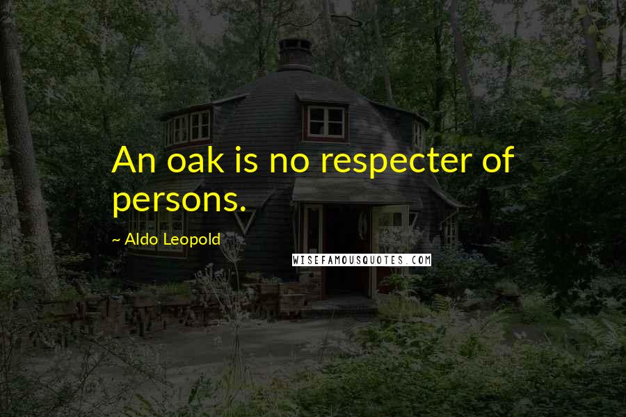 Aldo Leopold Quotes: An oak is no respecter of persons.