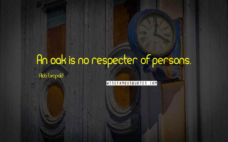 Aldo Leopold Quotes: An oak is no respecter of persons.