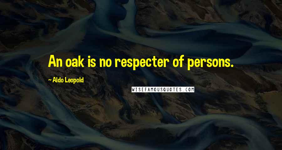 Aldo Leopold Quotes: An oak is no respecter of persons.