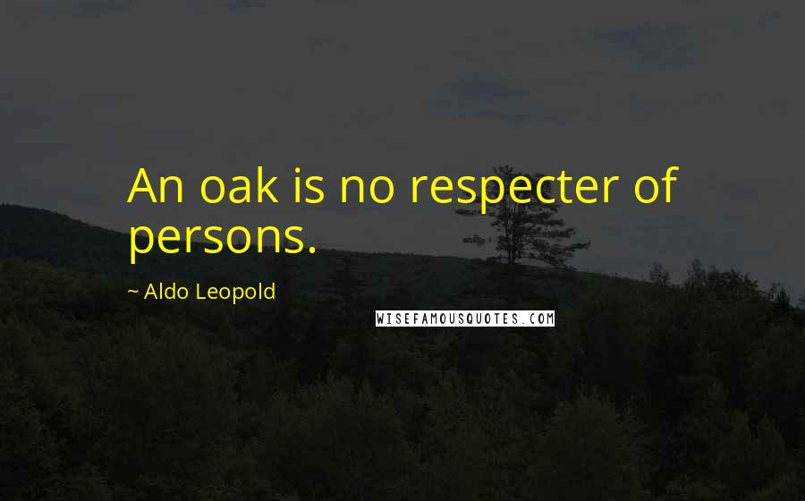 Aldo Leopold Quotes: An oak is no respecter of persons.