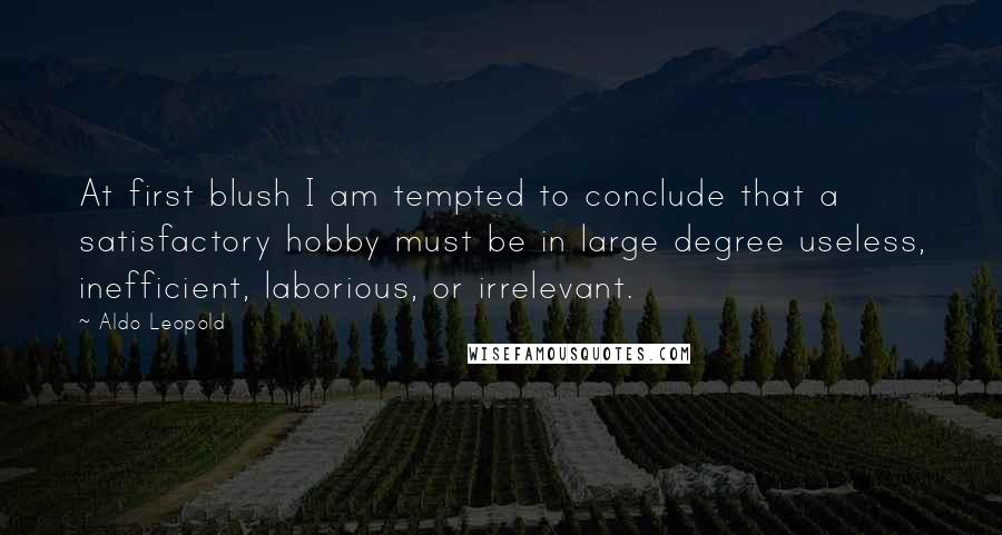 Aldo Leopold Quotes: At first blush I am tempted to conclude that a satisfactory hobby must be in large degree useless, inefficient, laborious, or irrelevant.