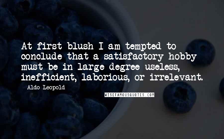 Aldo Leopold Quotes: At first blush I am tempted to conclude that a satisfactory hobby must be in large degree useless, inefficient, laborious, or irrelevant.