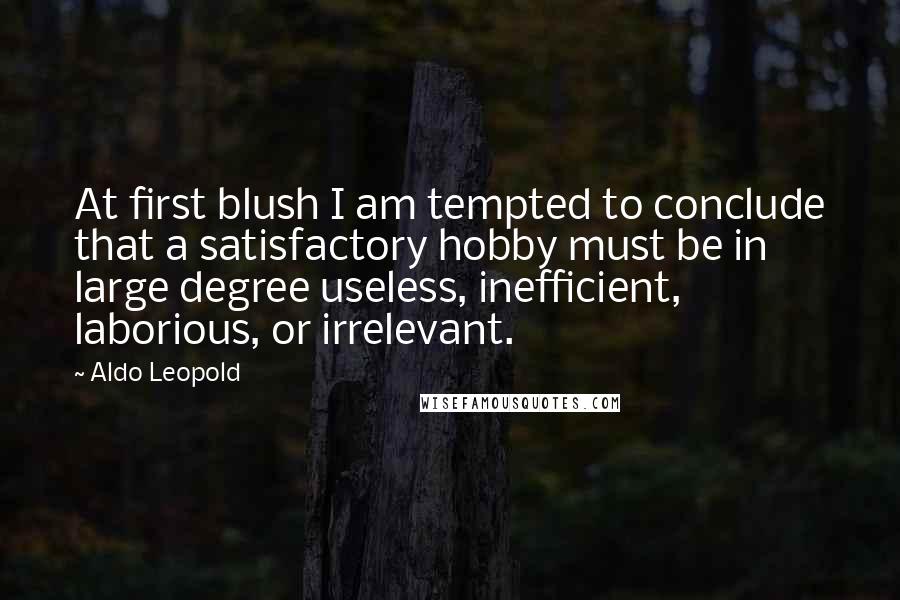 Aldo Leopold Quotes: At first blush I am tempted to conclude that a satisfactory hobby must be in large degree useless, inefficient, laborious, or irrelevant.