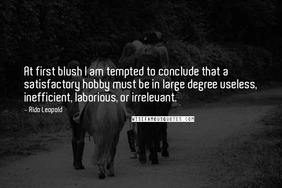 Aldo Leopold Quotes: At first blush I am tempted to conclude that a satisfactory hobby must be in large degree useless, inefficient, laborious, or irrelevant.