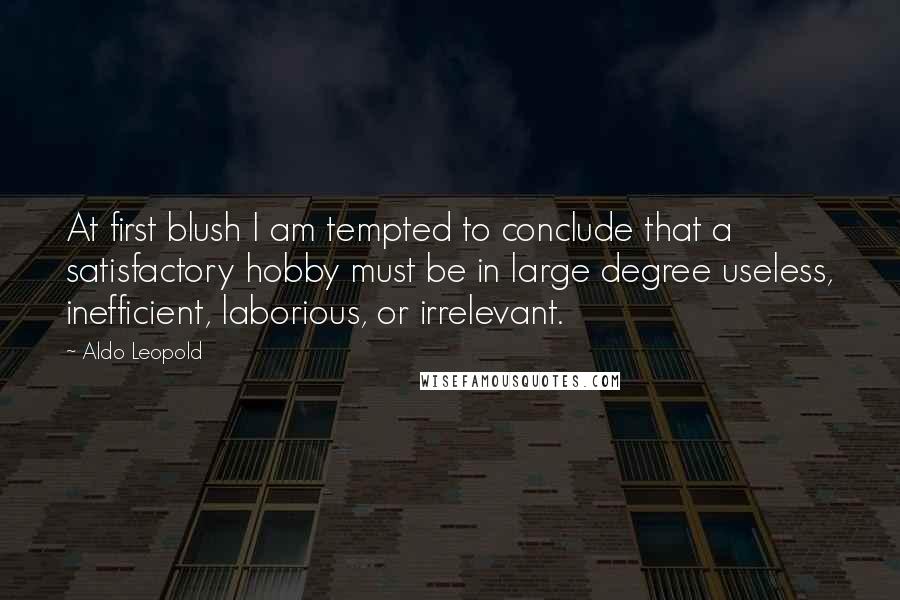 Aldo Leopold Quotes: At first blush I am tempted to conclude that a satisfactory hobby must be in large degree useless, inefficient, laborious, or irrelevant.