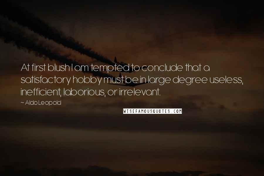 Aldo Leopold Quotes: At first blush I am tempted to conclude that a satisfactory hobby must be in large degree useless, inefficient, laborious, or irrelevant.